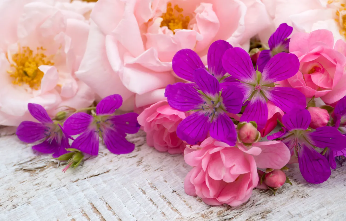 Photo wallpaper flowers, pink, buds, wood, pink, flowers, bud
