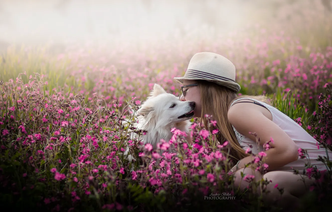 Photo wallpaper girl, flowers, dog, spring