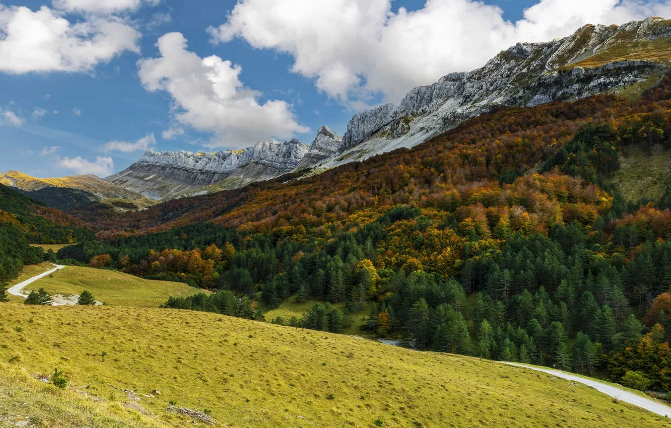 Photo wallpaper road, field, autumn, forest, clouds, mountains, blue, rocks