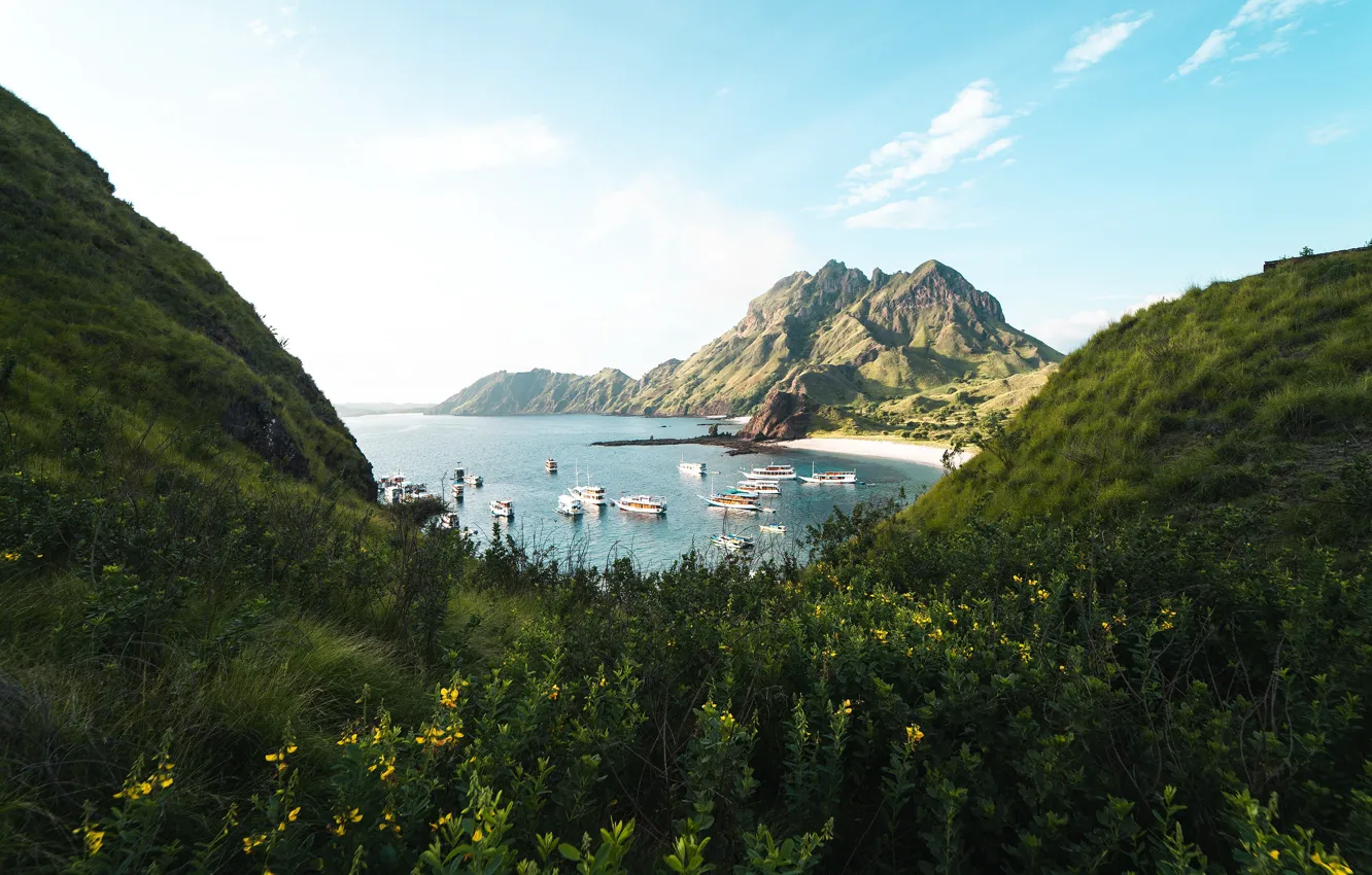 Photo wallpaper sea, greens, summer, grass, clouds, flowers, mountains, rocks