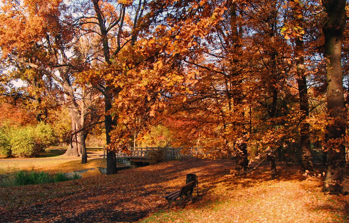 Photo wallpaper Autumn, Bench, Poland, Park, Nature, Fall, Foliage, Park