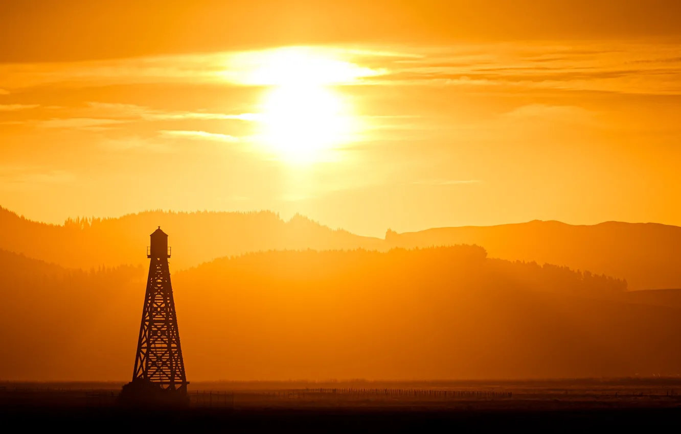 Photo wallpaper field, night, tower