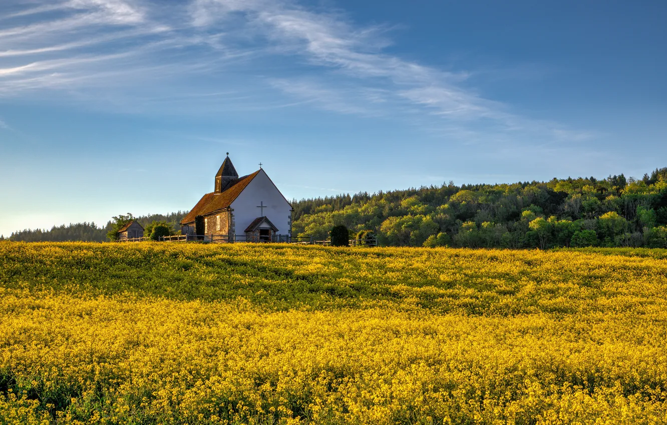 Photo wallpaper field, summer, flowers, spring, yellow, Church, chapel, rape
