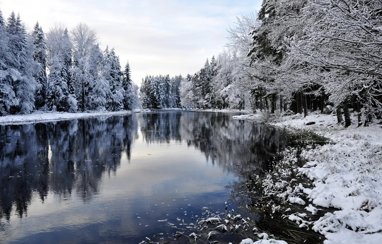 Photo wallpaper winter, snow, trees, river, landscape, winter, snow