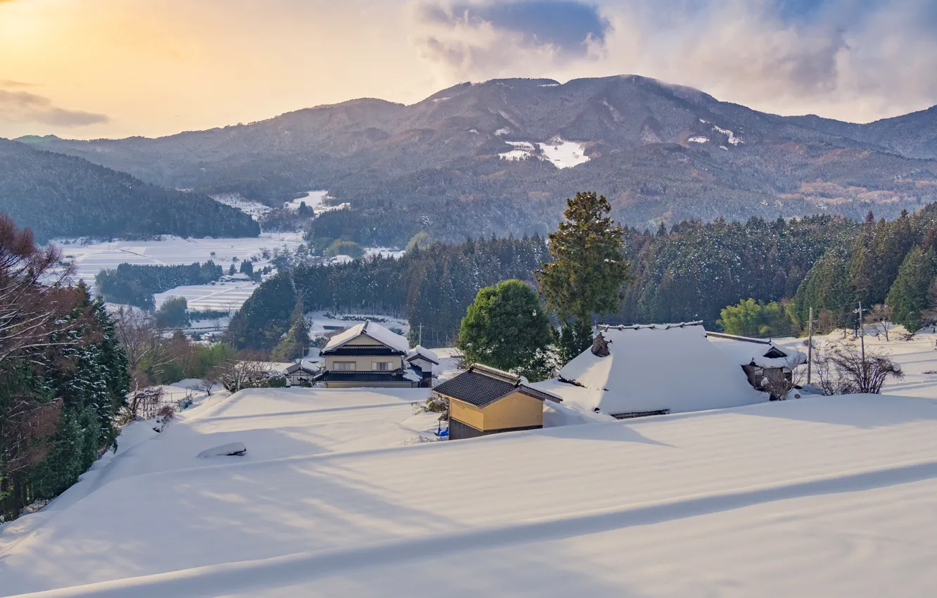 Photo wallpaper winter, snow, trees, mountains, house, Japan