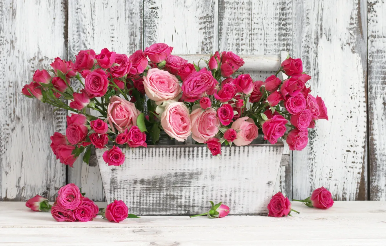 Photo wallpaper Board, roses, box