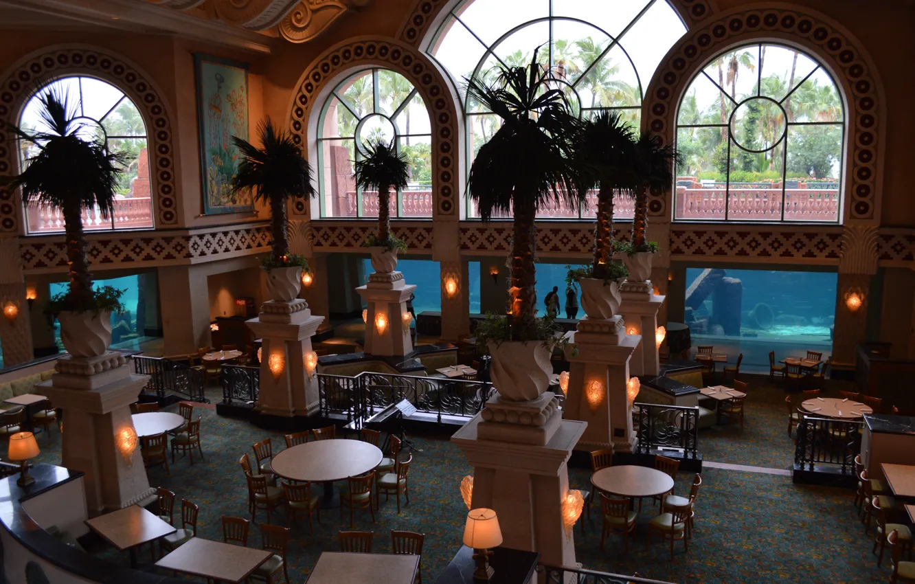 Photo wallpaper design, style, palm trees, aquarium, interior, the room