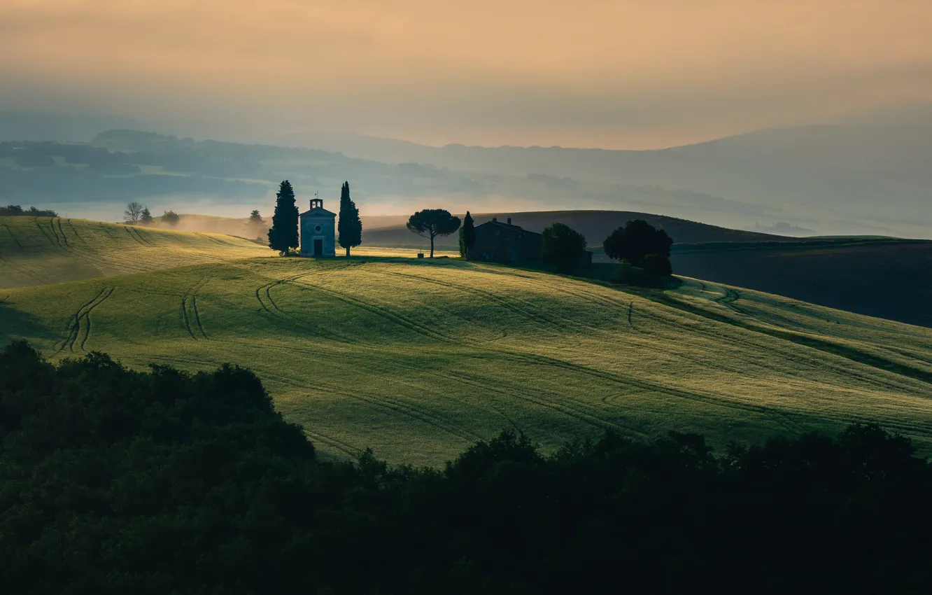 Photo wallpaper greens, field, summer, trees, fog, strip, hills, view