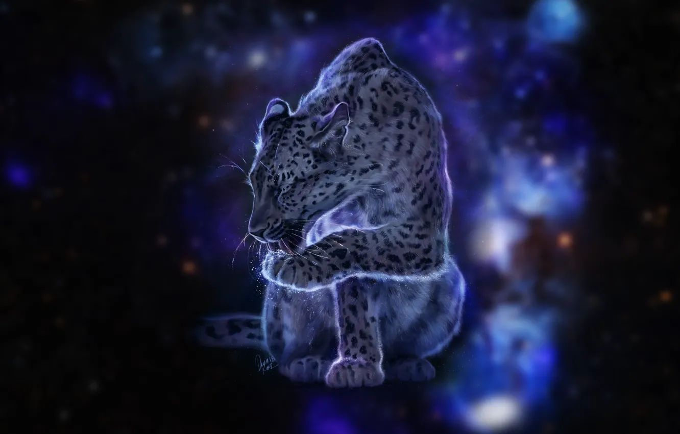 Photo wallpaper cat, space, stars, leopard, color