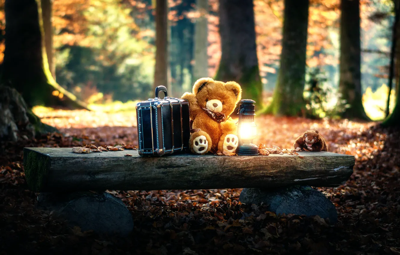 Photo wallpaper toy, lamp, bear, suitcase