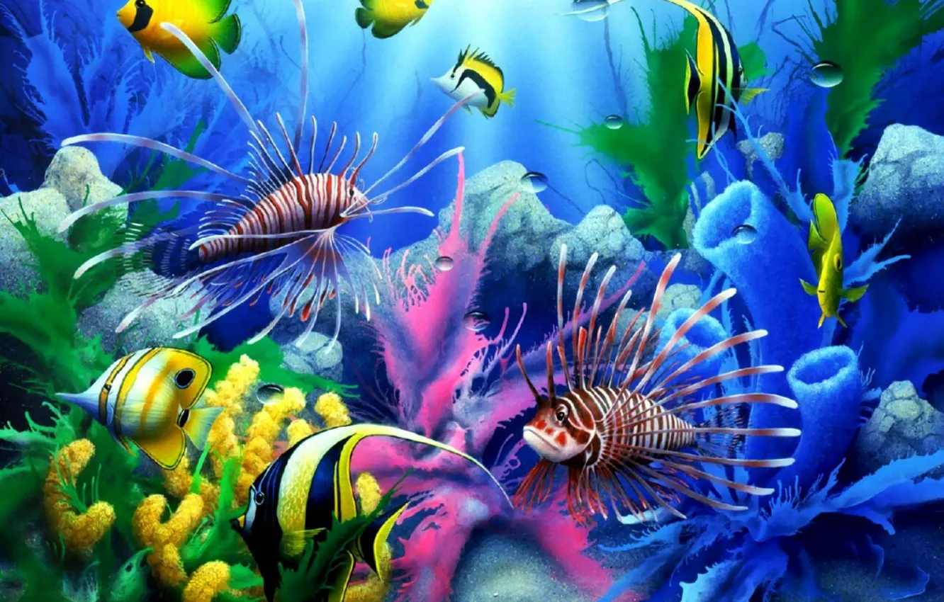 Photo wallpaper sea, fish, underwater world