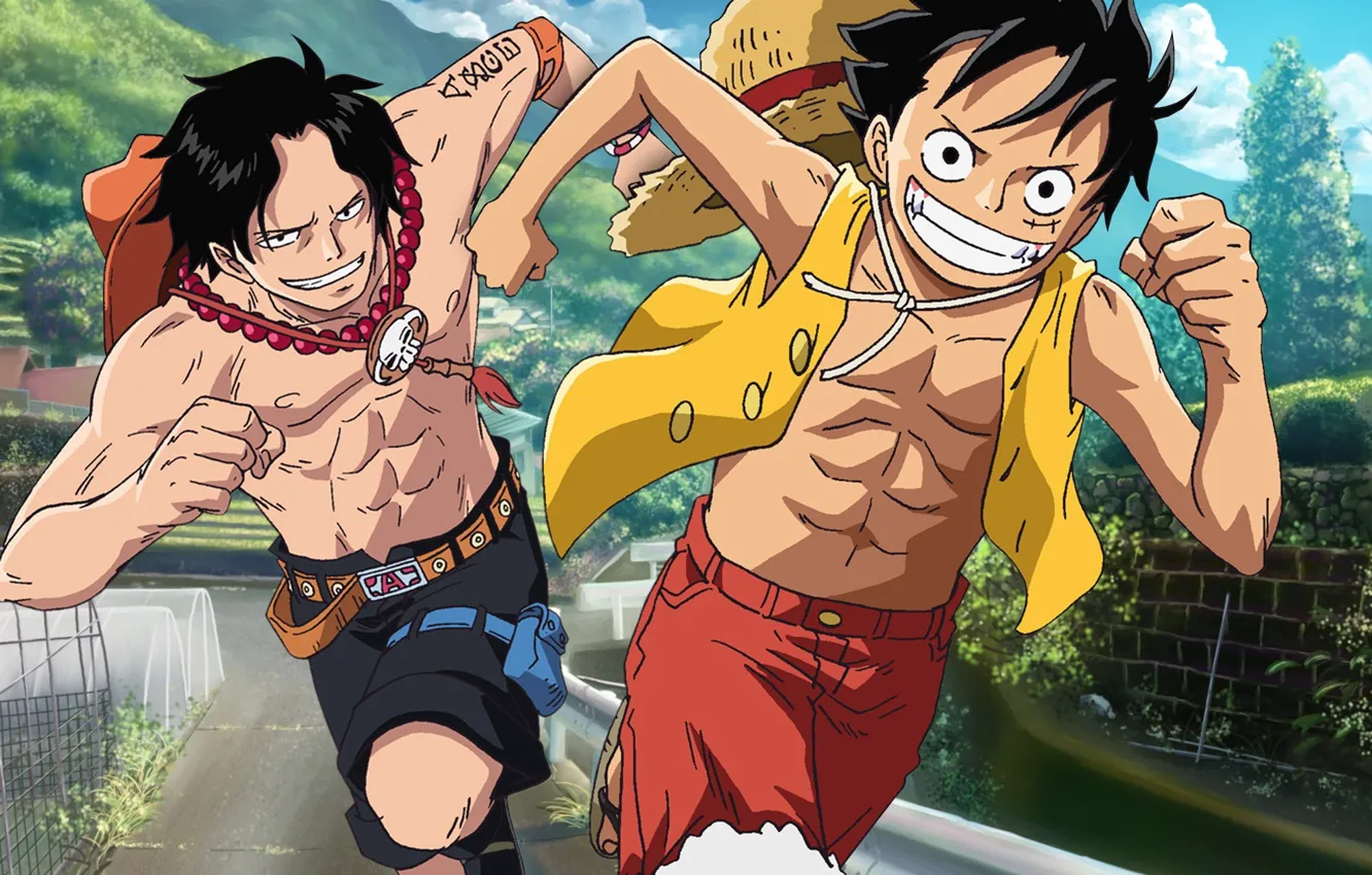 Photo wallpaper game, One Piece, pirate, hat, anime, captain, asian, brothers