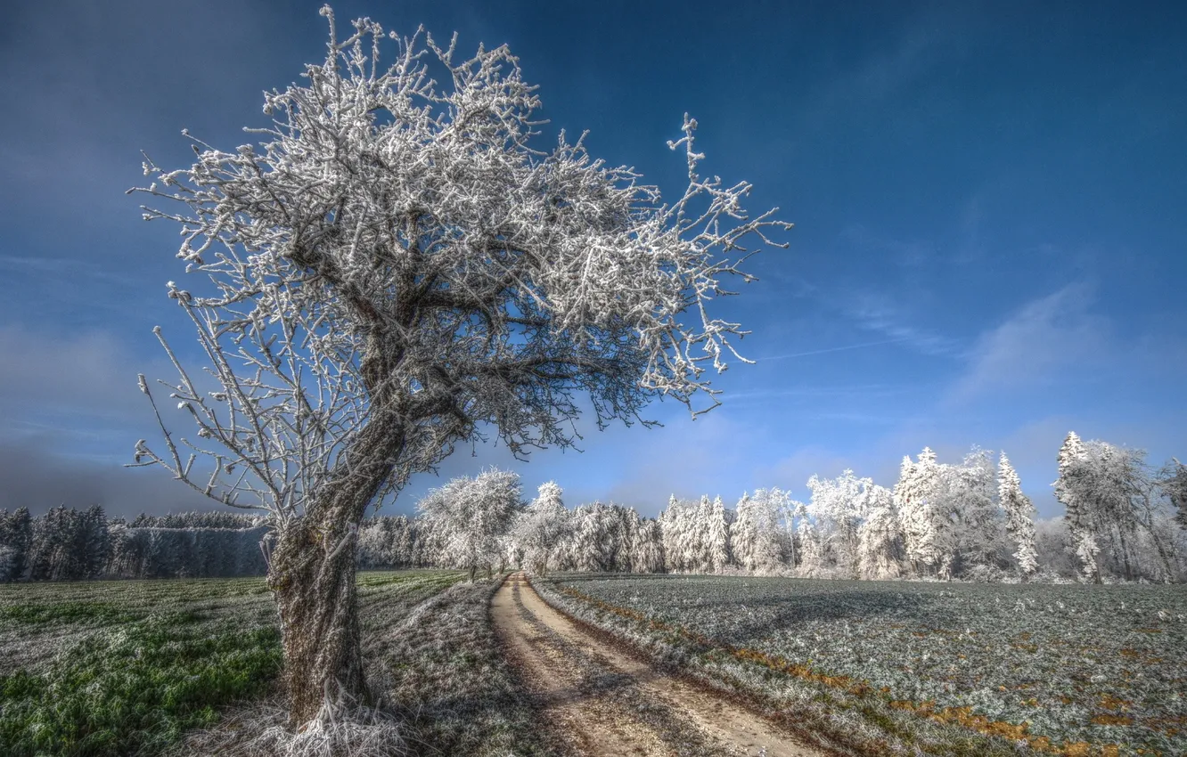 Photo wallpaper winter, frost, road, field, the sky, clouds, snow, landscape