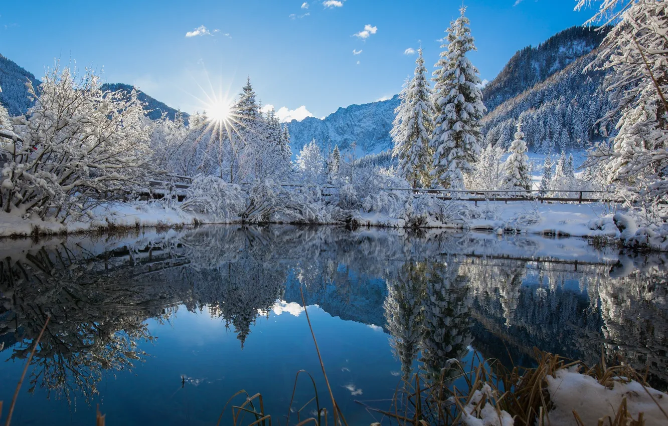 Photo wallpaper winter, the sky, the sun, light, snow, trees, nature
