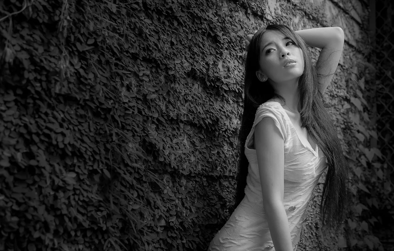 Photo wallpaper sexy, girl, Eastern, beauty