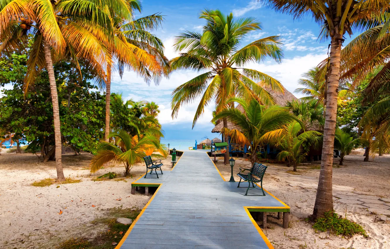 Photo wallpaper sand, sea, beach, shore, summer, beach, sea, sand