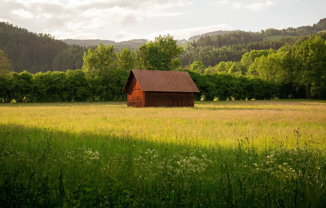 Photo wallpaper field, summer, grass, meadow, house