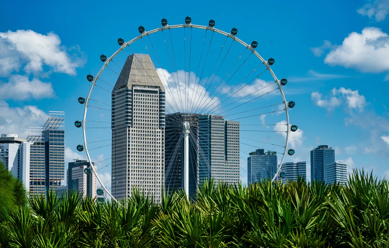 Photo wallpaper grass, Singapore, Ferris wheel