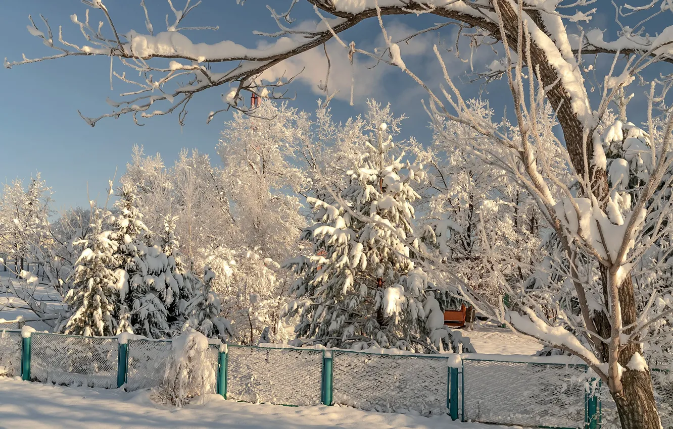 Photo wallpaper winter, snow, trees, nature, the fence, Vyacheslav Biryukov