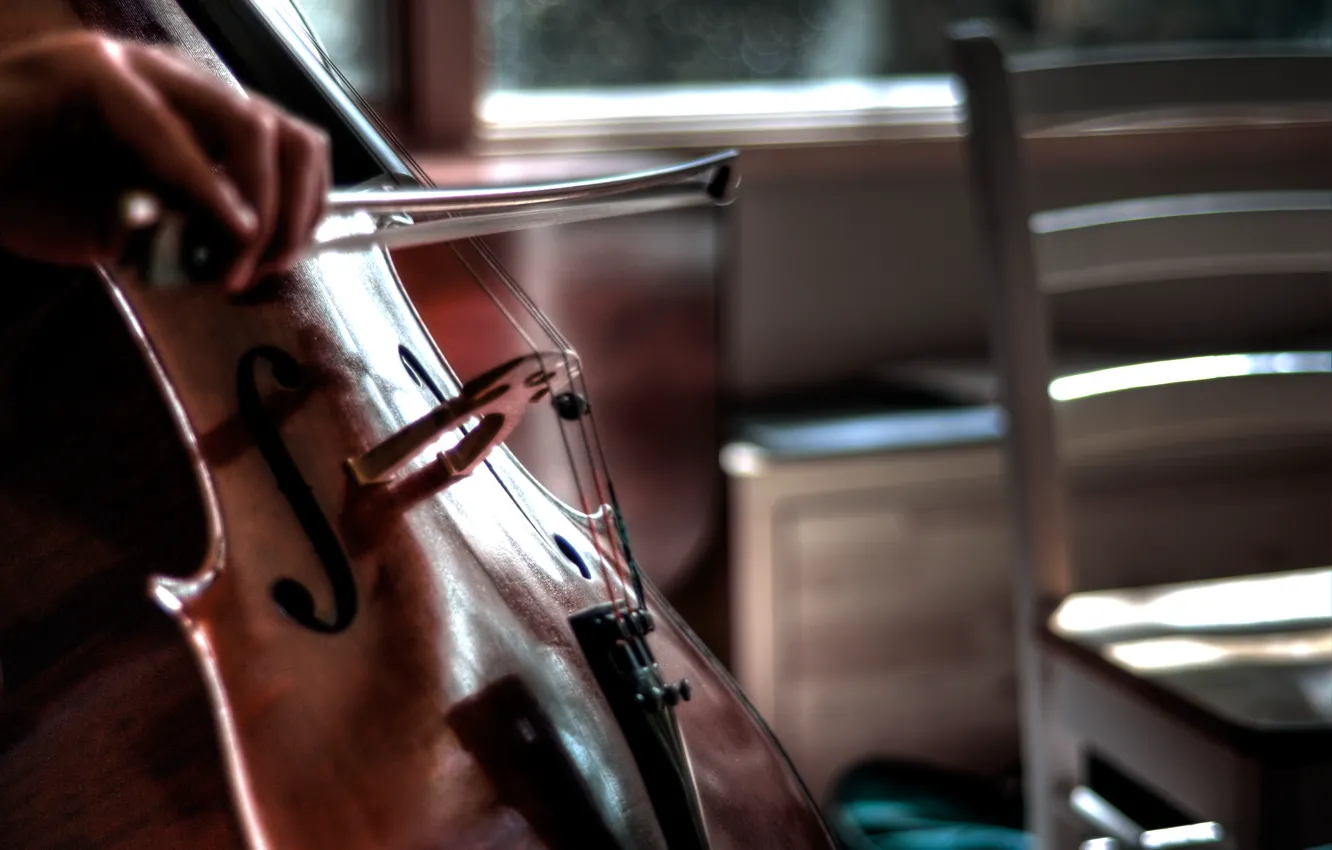 Photo wallpaper music, cello, tool, bow