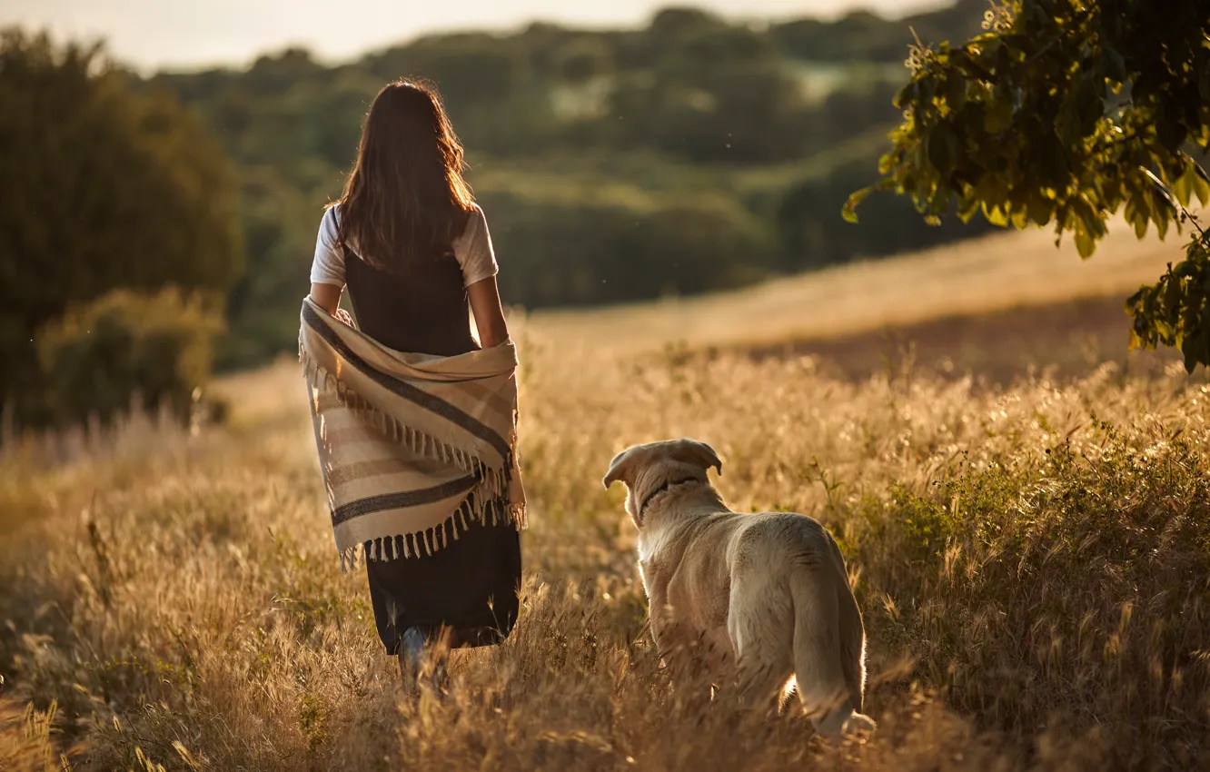 Photo wallpaper grass, girl, the sun, trees, landscape, pose, model, dog