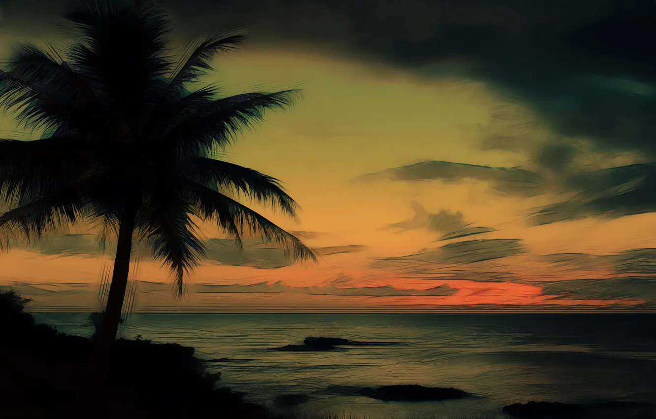 Photo wallpaper the sky, palm trees, the ocean, shore