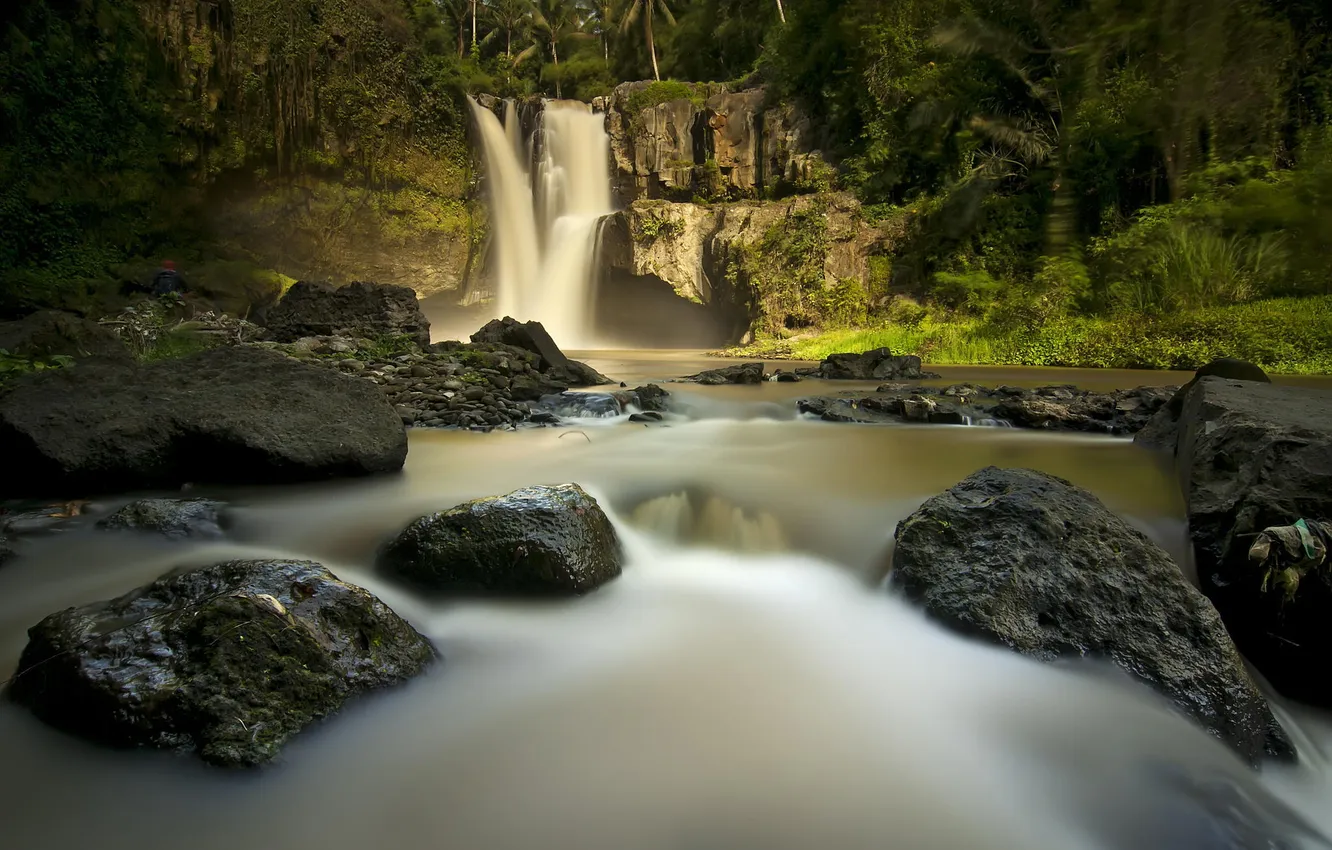 Photo wallpaper river, stones, rocks, waterfall, jungle