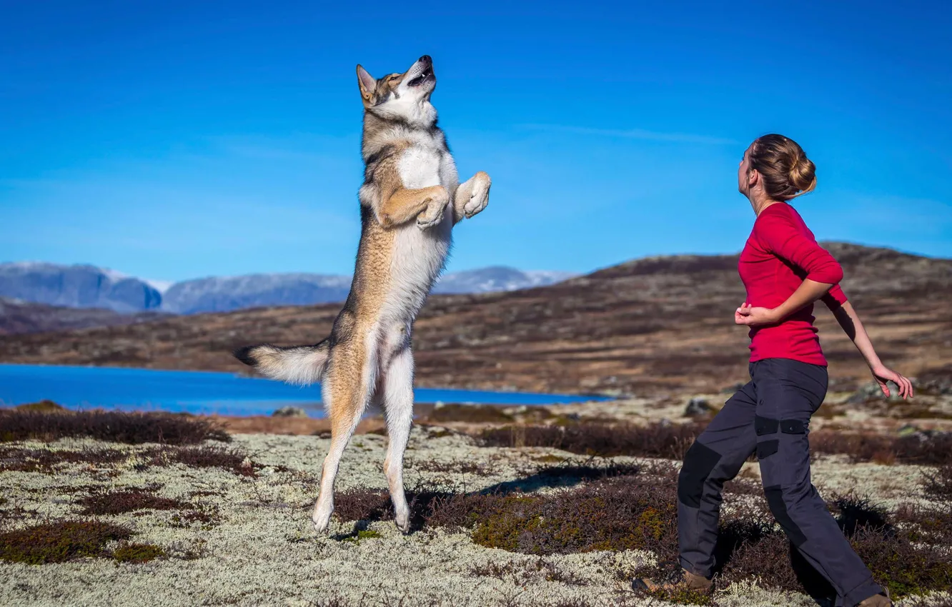 Photo wallpaper jump, the game, dog, girl, jumping