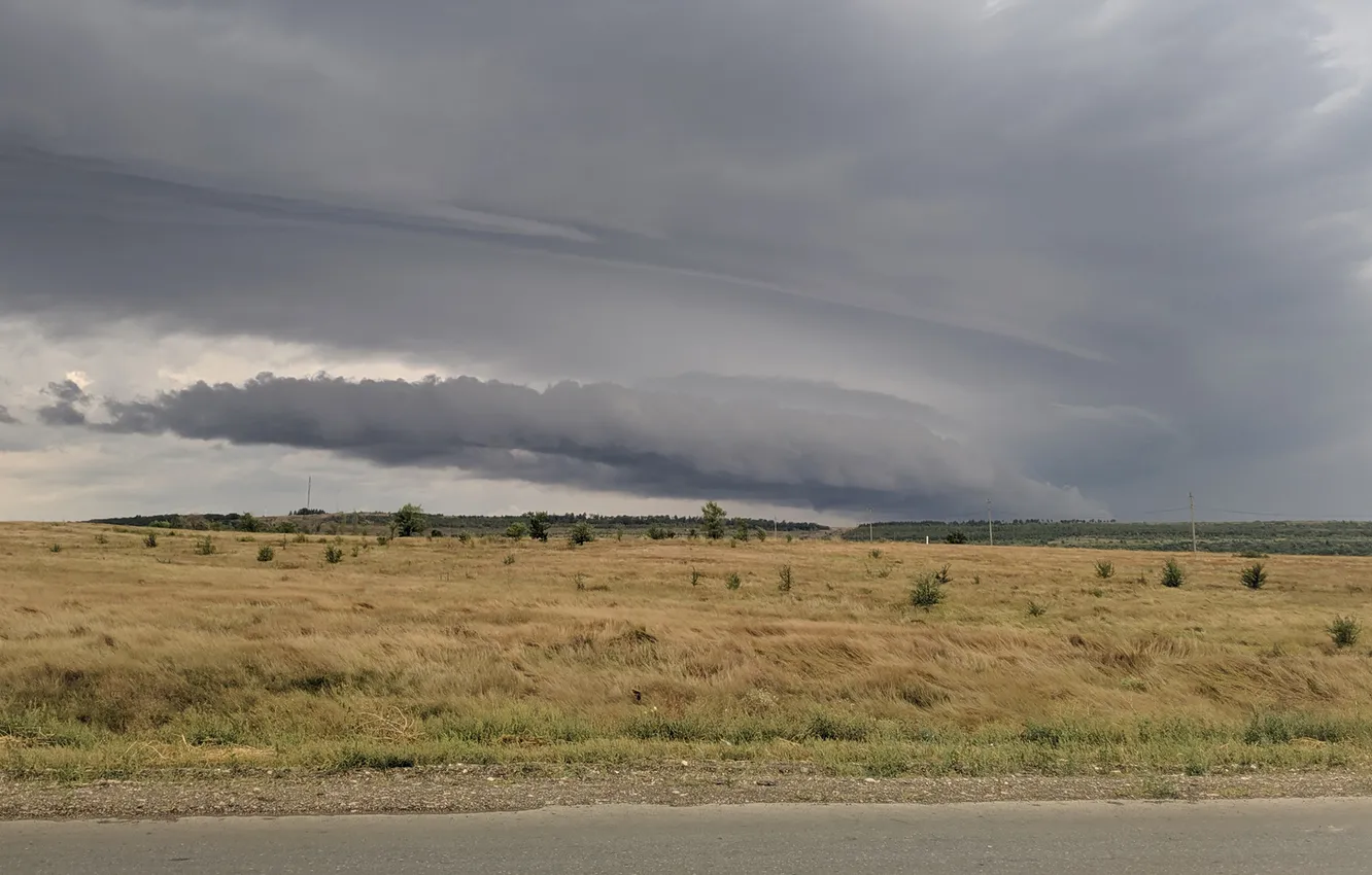Photo wallpaper the storm, field, the sky, clouds, the wind