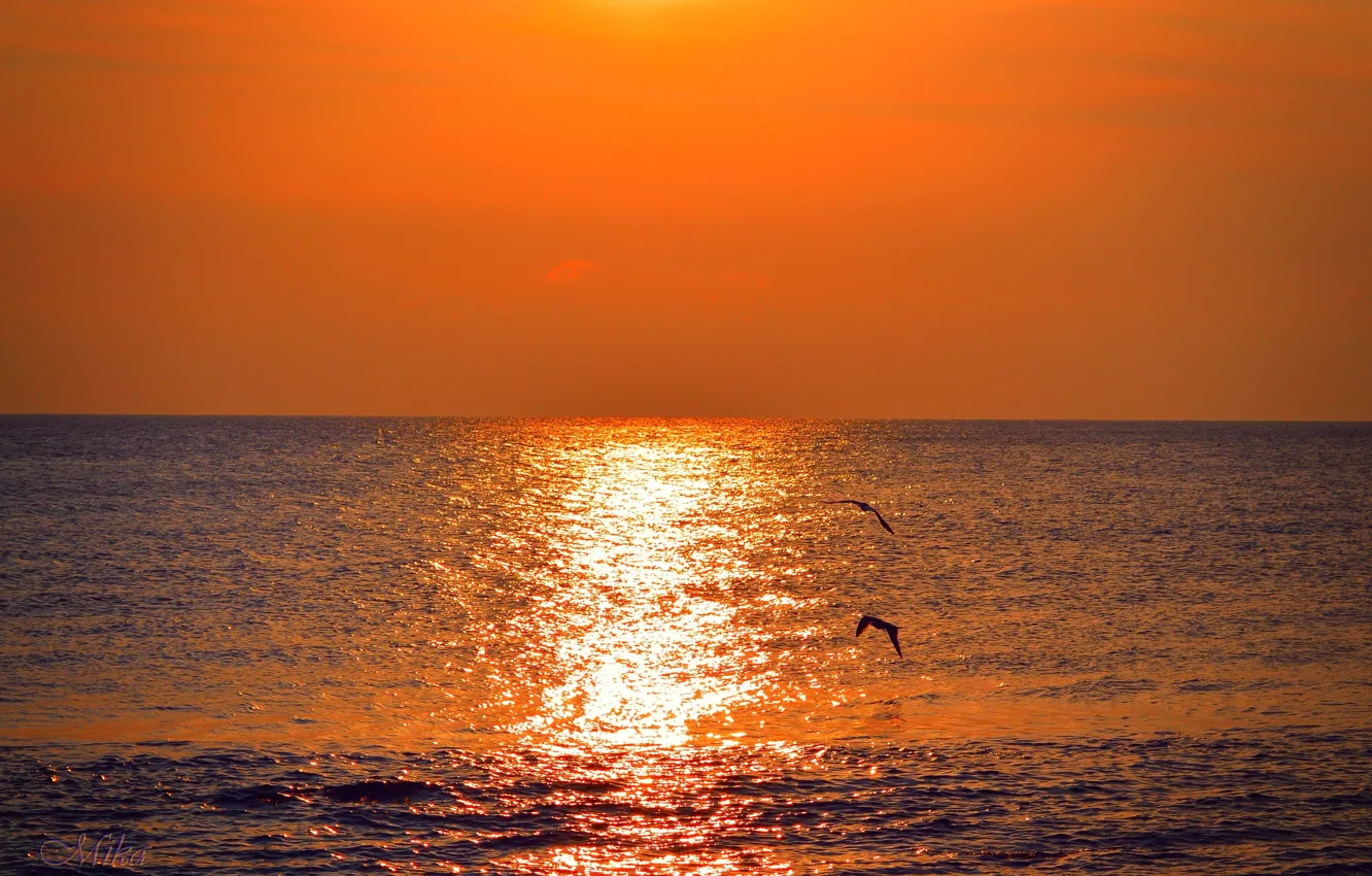 Photo wallpaper Sunset, Sea, Sunset, Sea