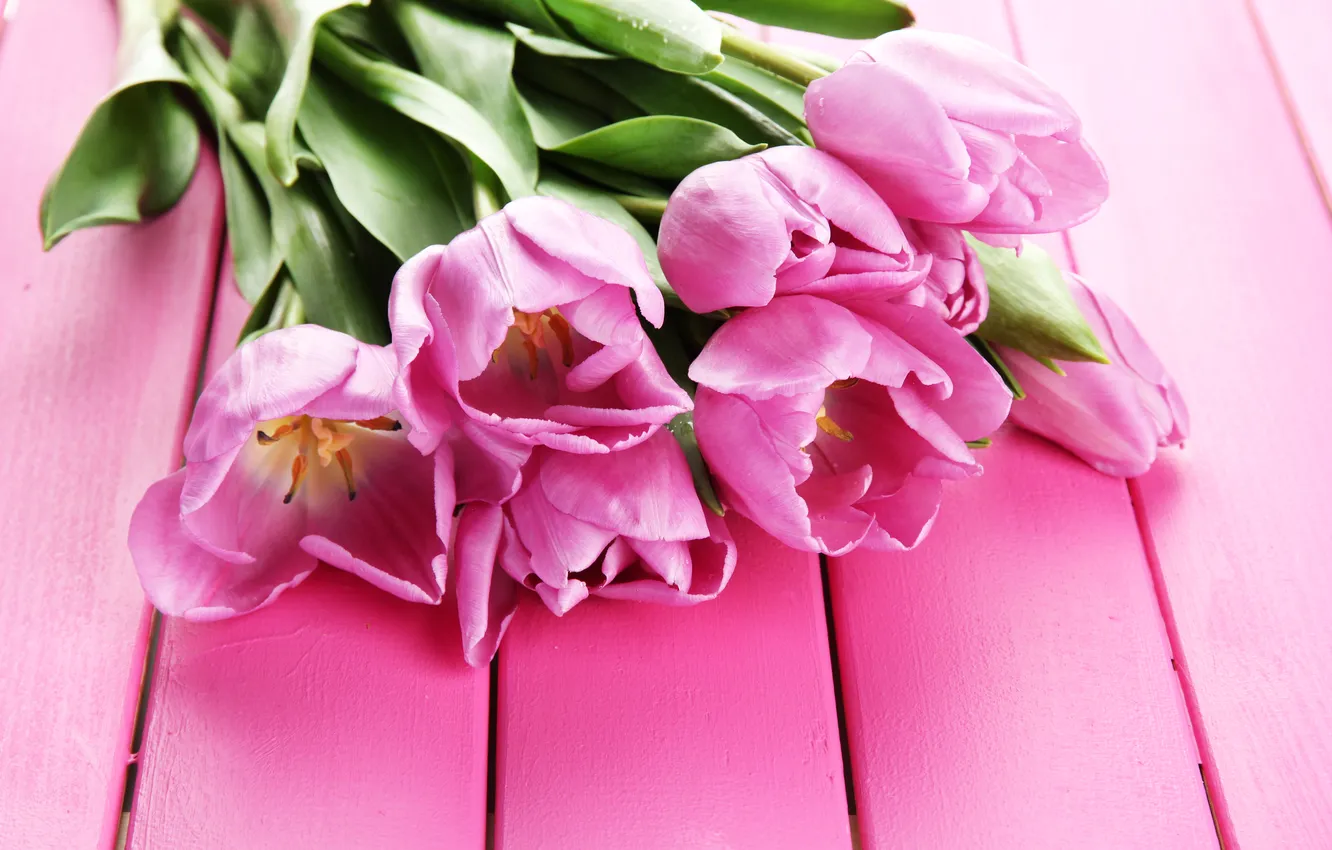 Photo wallpaper flowers, bouquet, tulips, wood, pink, flowers, tulips, spring