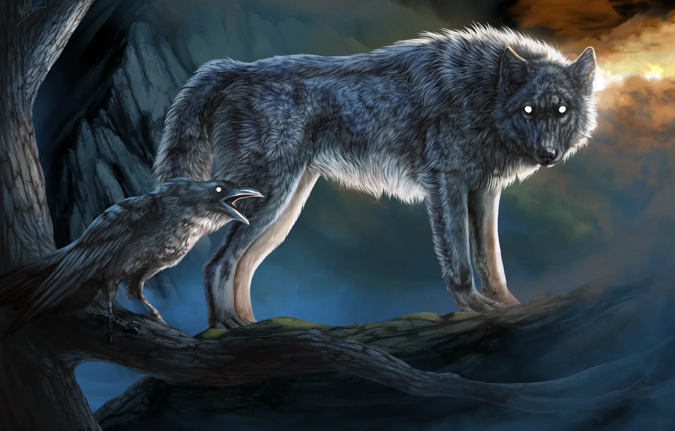 Photo wallpaper look, nature, wolf, crow