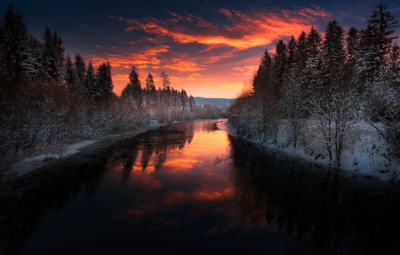 Photo wallpaper winter, forest, clouds, snow, sunset, the evening, twilight, pond