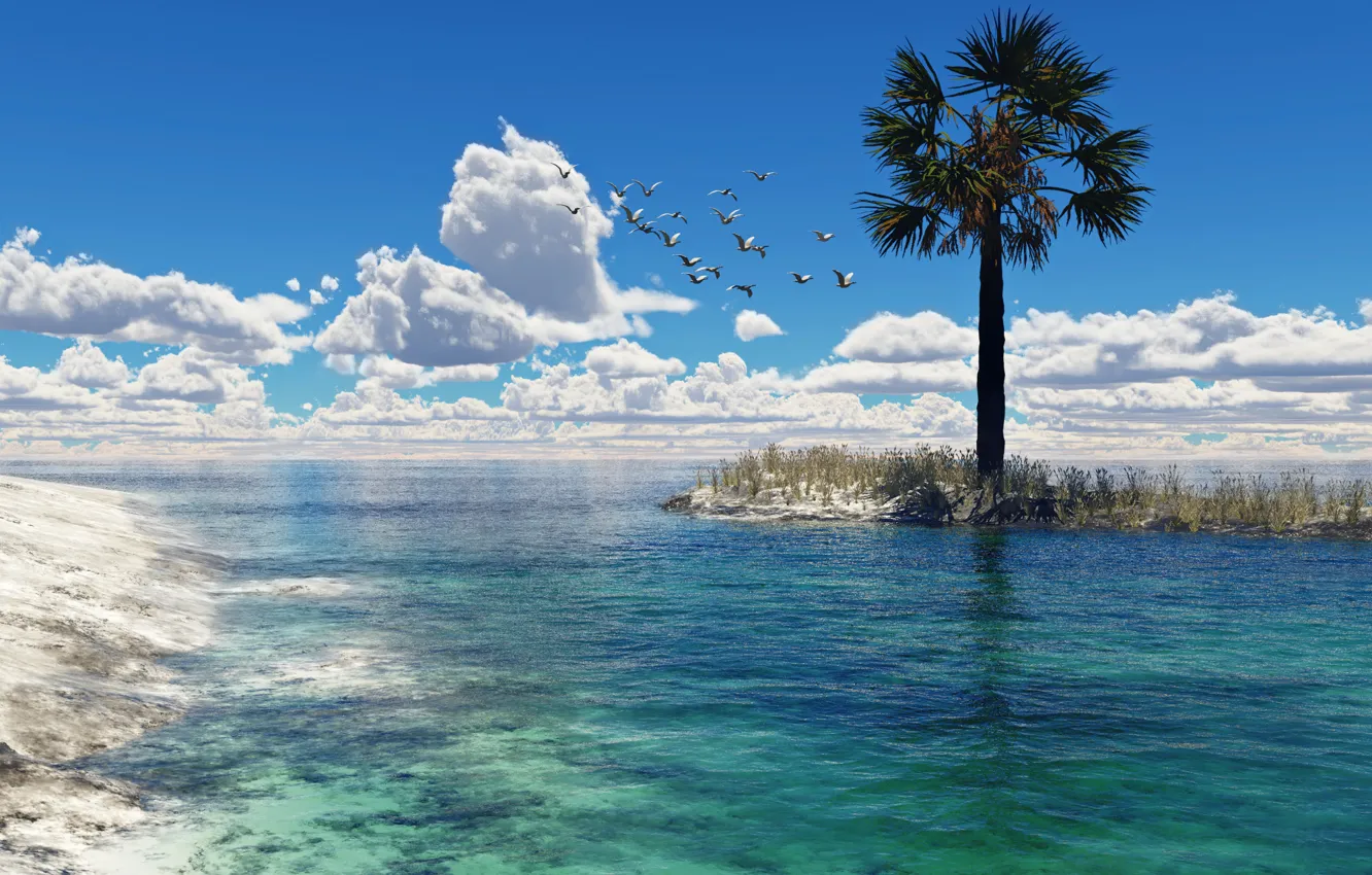 Photo wallpaper sea, water, clouds, palm trees, bird, seagulls, art, island