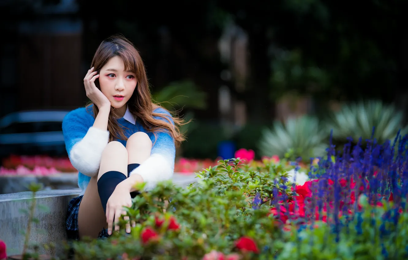 Photo wallpaper girl, flowers, brown hair, Asian, sitting, sweater, knees