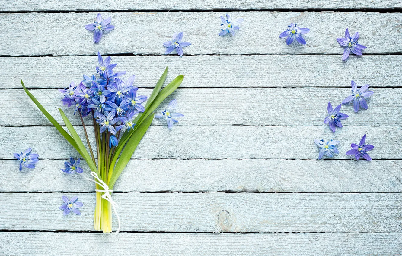 Photo wallpaper flowers, bouquet, violet