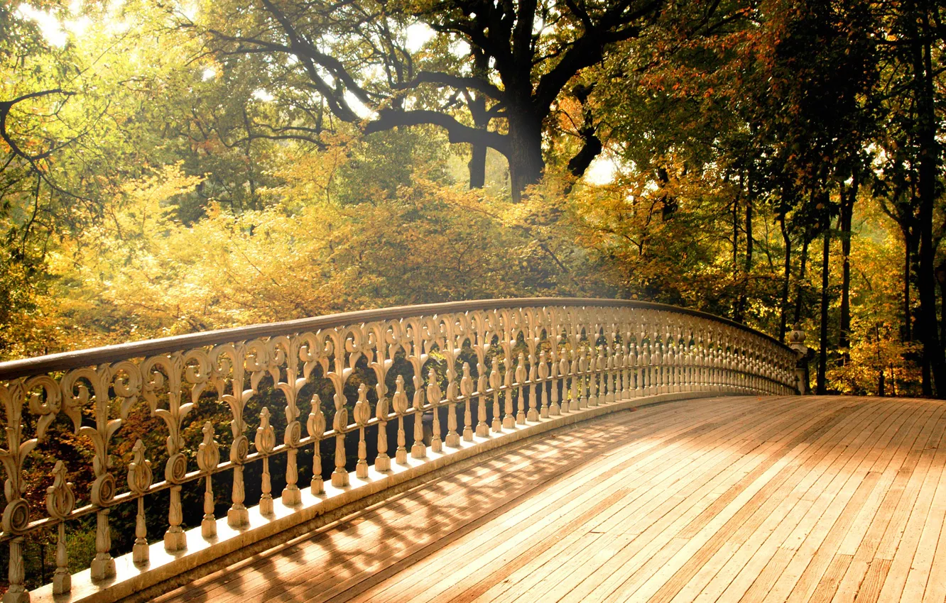 Photo wallpaper Bridge, Autumn, Trees