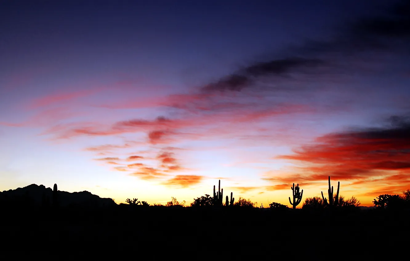 Photo wallpaper the sky, clouds, sunset, cactus, horizon, silhouette, glow