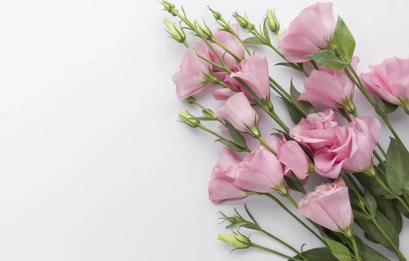 Photo wallpaper flowers, bouquet, gentle, pink, beautiful, eustoma