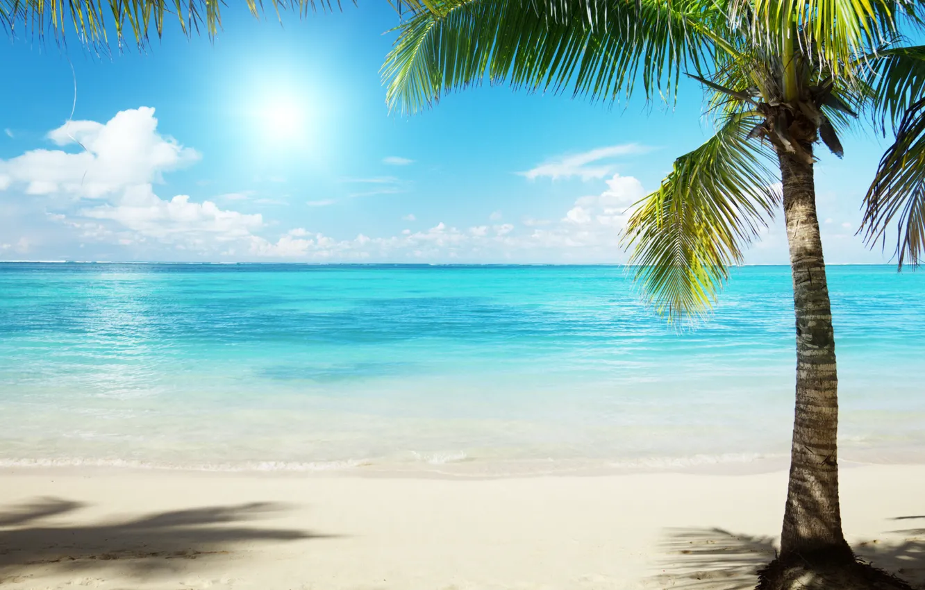 Photo wallpaper sand, sea, water, the sun, Palma, palm trees, the ocean, shore