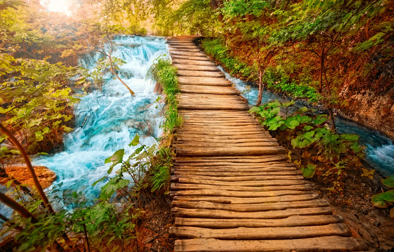 Photo wallpaper water, bridge, river, stones, waterfall, beauty, logs, track