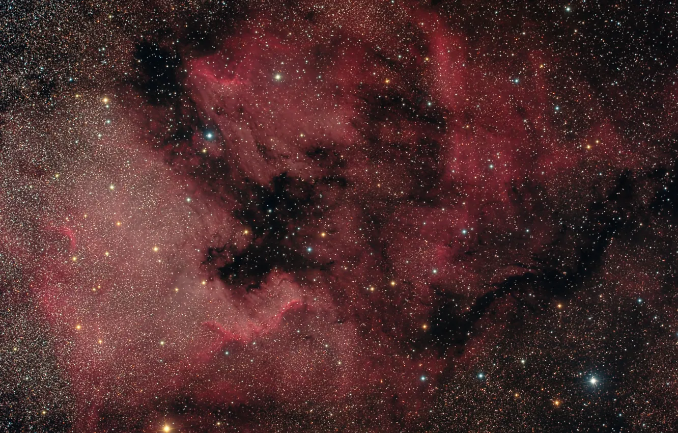 Photo wallpaper nebula, Swan, North America, in the constellation, emission