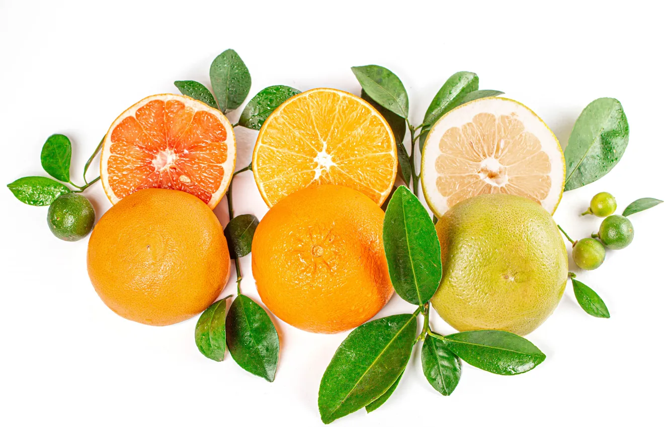 Photo wallpaper branches, photo, lemon, orange, food, grapefruit, citrus