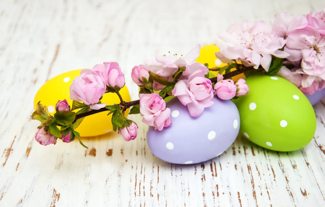 Photo wallpaper flowers, eggs, spring, colorful, Easter, wood, pink, blossom