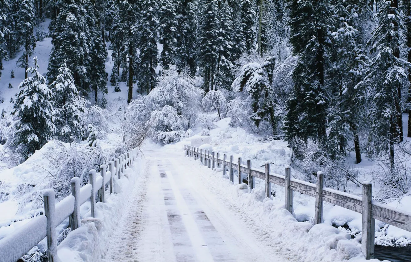 Photo wallpaper winter, road, forest, river, the bridge