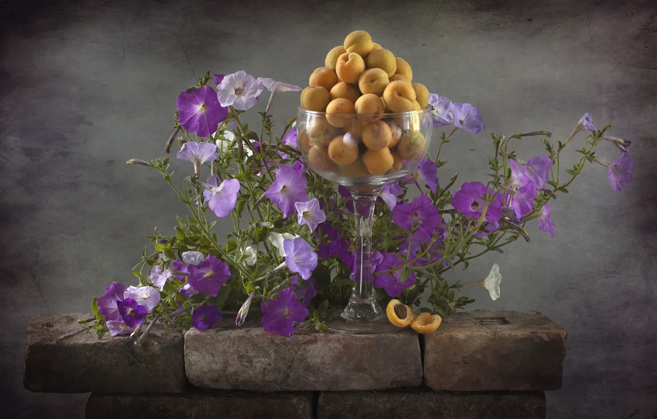Photo wallpaper flowers, apricots, Petunia