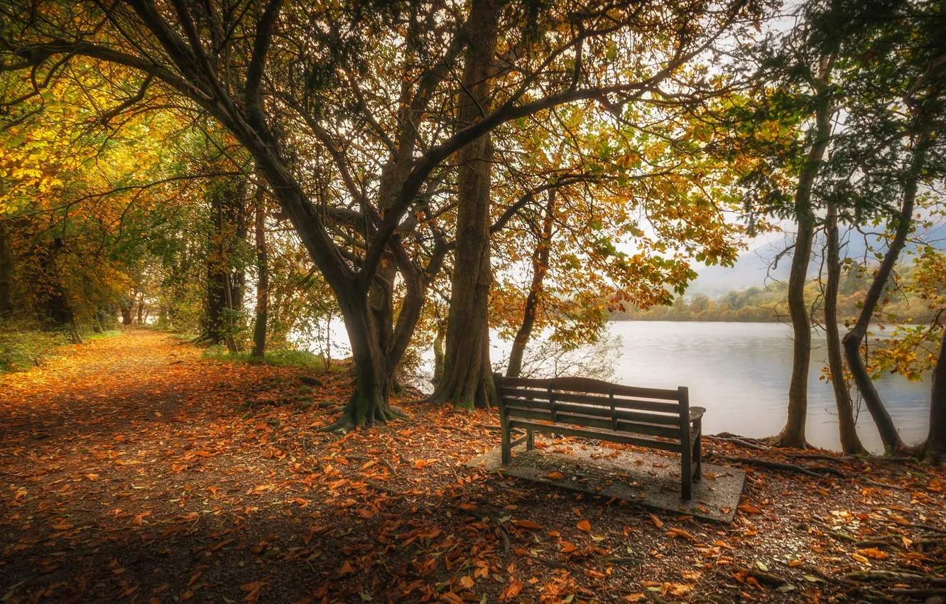Photo wallpaper autumn, leaves, trees, lake, pond, Park, England, bench