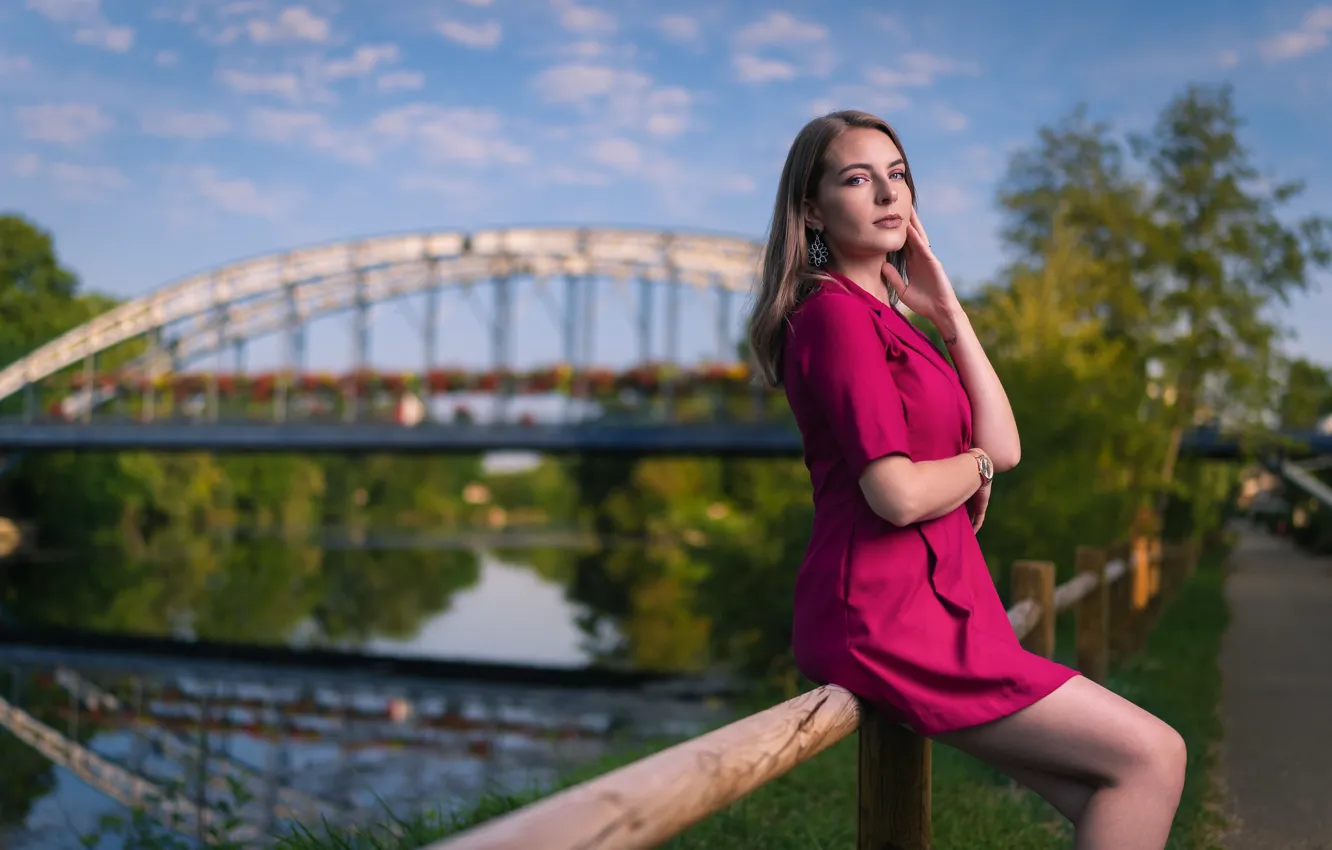 Photo wallpaper look, girl, hair, dress, promenade, Ludivine
