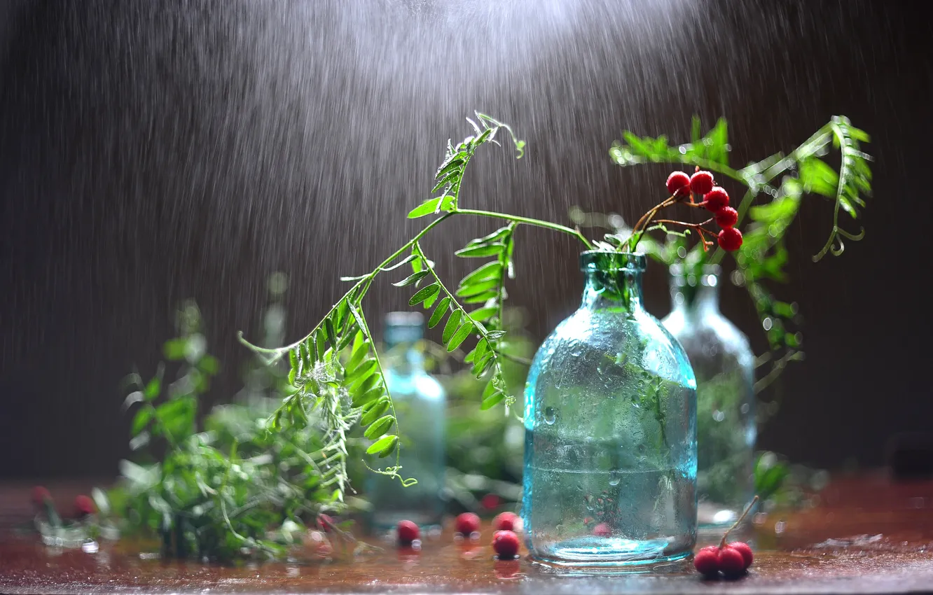 Photo wallpaper greens, leaves, water, drops, berries, rain, bottle, still life