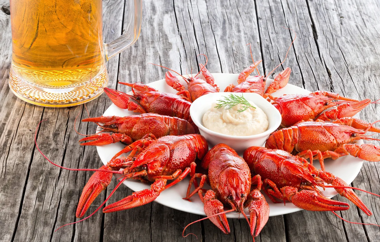 Photo wallpaper beer, plate, sauce, seafood, cancers